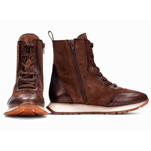 Hispanitas Kansas HI254401... 2