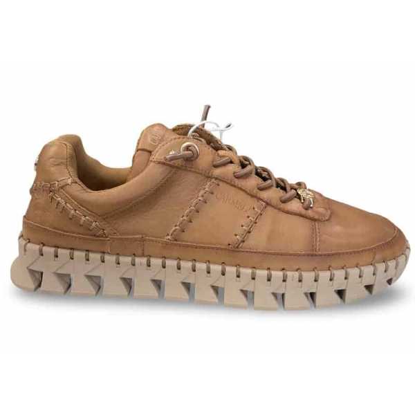 Carmela 162528 Camel