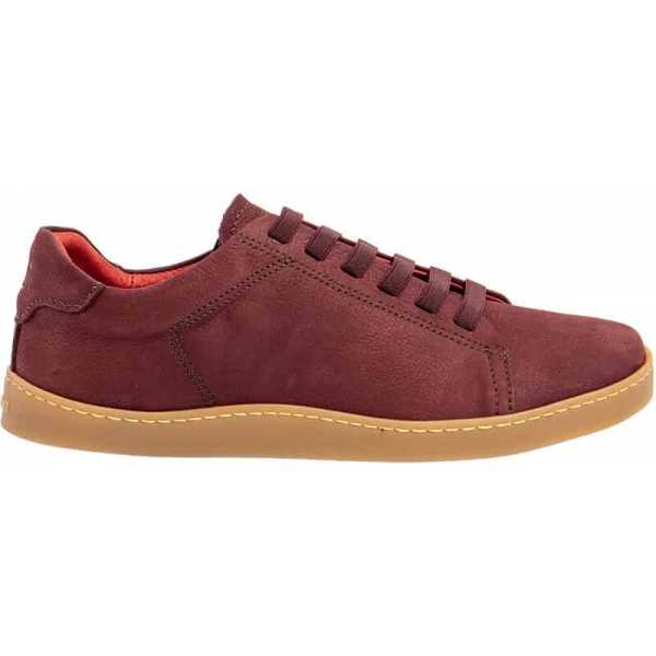 El Naturalista Origen 5910L...