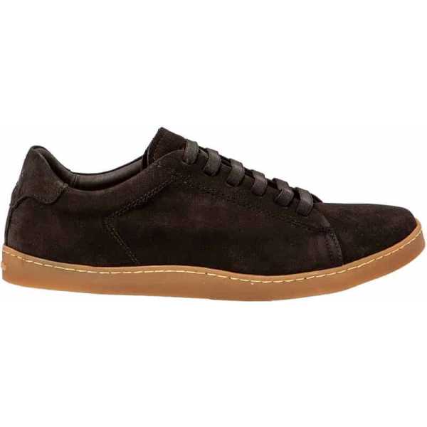 El Naturalista Origen 5910L...