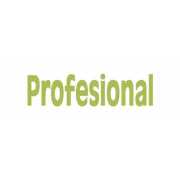 Calzado profesional para Señora